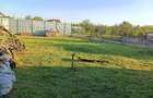 Casă cu 2 camere cu Teren 400 Mp în Șofronea - 6