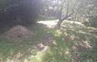 Teren intravilan 2000m2 proprietar - Prahova CORNU DE JOS centru - 4