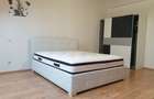 Comision 0!!! Dumbravita 2 camere 100000 euro - 5