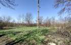 Rachitova, Casa 8 Incaperi, 3800mp Teren, Usor Negociabil - 14