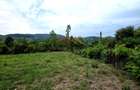 Teren Intravilan, utilitati in zona, 2600 mp, Draganeasa, Prahova - 5