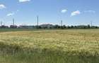 Parcele teren intravilan 500 mp Ciorogarla Ideal Casa / Investitie 20/mp