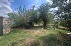 994 mp de teren intravilan cu anexe si casa veche - 6