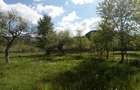 Teren intravilan la munte, in Nereju, Vrancea - 8