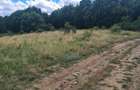 Teren extravilan 2500m2. Panorama superba.-Salicea - 6
