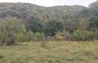 Vand gradina intravilan pe Valea Barzavii - 2