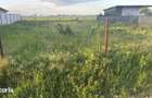 TEREN 413 MP DOBROESTI - 98700 euro/239 E mp