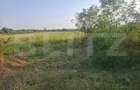 Teren extravilan de vanzare, 5000 mp, zona Viisoara - 1