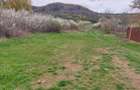 Teren Topoloveni - 3670 mp - langa padure, aproape de Centrul orasului - 5
