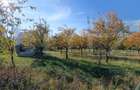 Teren Intravilan 3325 mp Magurele Prahova , Oportunitate ! - Magurele (Prahova) - 5