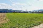 Teren de vanzare 8906 mp, Dofteana - 5