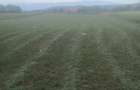 Vand Teren pentru infiintare plantatie.