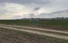 Teren 12.651 mp langa Metrou Berceni | Perfect Dezvoltare Rezidentiala - 2
