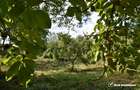 Casa demolabila in sat Gheorghieni (com Feleacu) teren 1547mp intravilan