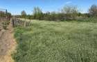 Vand teren intravilan JILAVA Str MORII 2650 mp