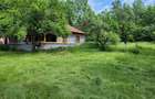 Teren intravilan 3.000 mp cu casă bătrânească – Cătunu, Teleorman (Utilități inc - 1