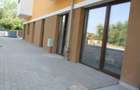 Proprietar vand 2 spatii comerciale alaturate, Zona Sagului - Freidorf, in spate la Shopping City - 6