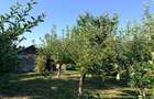 Casa cu anexe gospodaresti, livada si gradina - 7