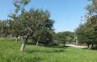 Teren Bran Sohodol , o zona de vis, o priveliste unica spre muntii Bucegi! - 5