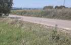 Teren de 27000 mp, în Drăguș - 2