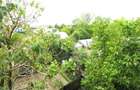 Apartament 2 camere Otopeni - Odaii - strada Scolii