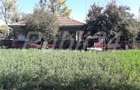 Teren intravilan 2293 mp, cu casa batraneasca locuibila, Glodeanu Sarat, Buzau - 9