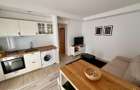 Apartament tip studio de inchiriat in Cosmopolis - 3