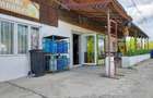 Casa, spatiu comercial, teren intravilan 3025 mp, sat Ciuperceni, pret atragator - 6