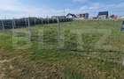 Teren intravilan, 1003mp, front 33 ml, zona ?cheia - 2