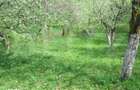 Teren de vanzare, 884 mp, zona Runcu - 2