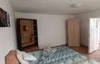 Casa de inchiriat cu 2 camere, mobilata si utilata, curte, Alba Iulia - 12