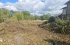 Vanzare teren intravilan in Teis, Dambovita - 3