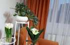 2Camere Drumu Taberi Timisoara Liceul Moisil - 6