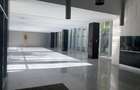 Penthouse, 5 camere, piscina proprie, zona  Kiseleff - Arcul de Triumf.