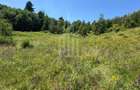 Teren intravilan 4600mp - 55 EUR/mp - EXCLUSIVITATE CISNADIOARA - COMI - 3