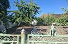 Vand casa batraneasca - 4