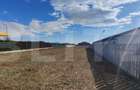 Teren de inchiriat, 1040 mp, zona Vest - Calea Campulung - 2