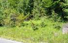 Teren de vanzare aproape de Sinaia 1420mp - 9