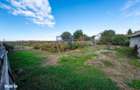 Casa caramida 80 mp, teren 1000 mp, colt, 7 km de Roman, Trifesti - 15