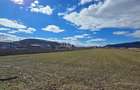 Teren 6607 Mp, Albesti, judet Mures - 1