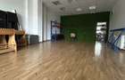 Spatiu stradal P+S, 254 mp + teren 75 mp, dubla intrare, Andronache