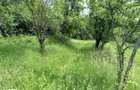 Teren de vanzare sat Schela - 3