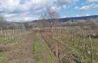 Casa de vanzare Comuna Creteni, judetul Valcea la 12 km de Dragasani, - 4