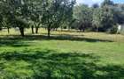 Vand teren intravilan Breaza (Podu Corbului)
