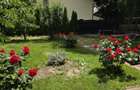 Vila cocheta Snagov de inchiriat - 7