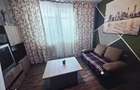 apartament 2 camere lacul tei - 3
