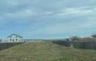 Teren intravilan de vanzare in dridu Ialomi?a situat - 6