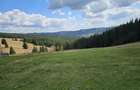 Teren de vanzare 15 hectare in Bucovina Moldova Sulita zona Lucina - 10