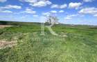 Teren intravilan | Leș | Bihor