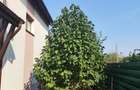 Casă cu 8 camere cu Teren 385 Mp în Berceni
